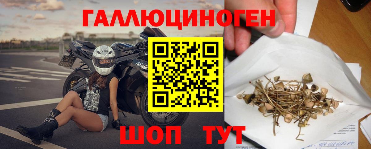 Галлюциногенные грибы мицелий  Вход с VPN  Кингисепп  Псилоцибиновые грибы Magic Shrooms 